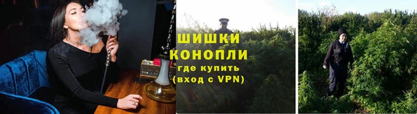 спайс Богородицк