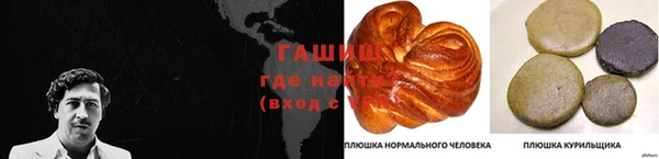твердый Богданович