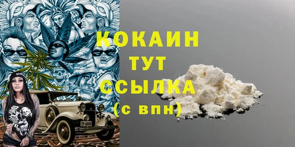 твердый Богданович