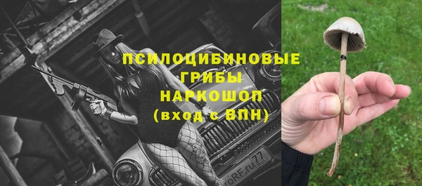твердый Богданович