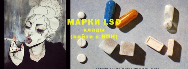 стафф Бронницы