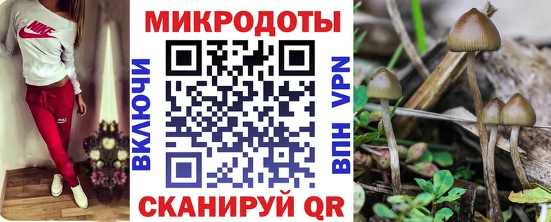 Псилоцибиновые грибы Magic Shrooms  купить  цена  Троицк 